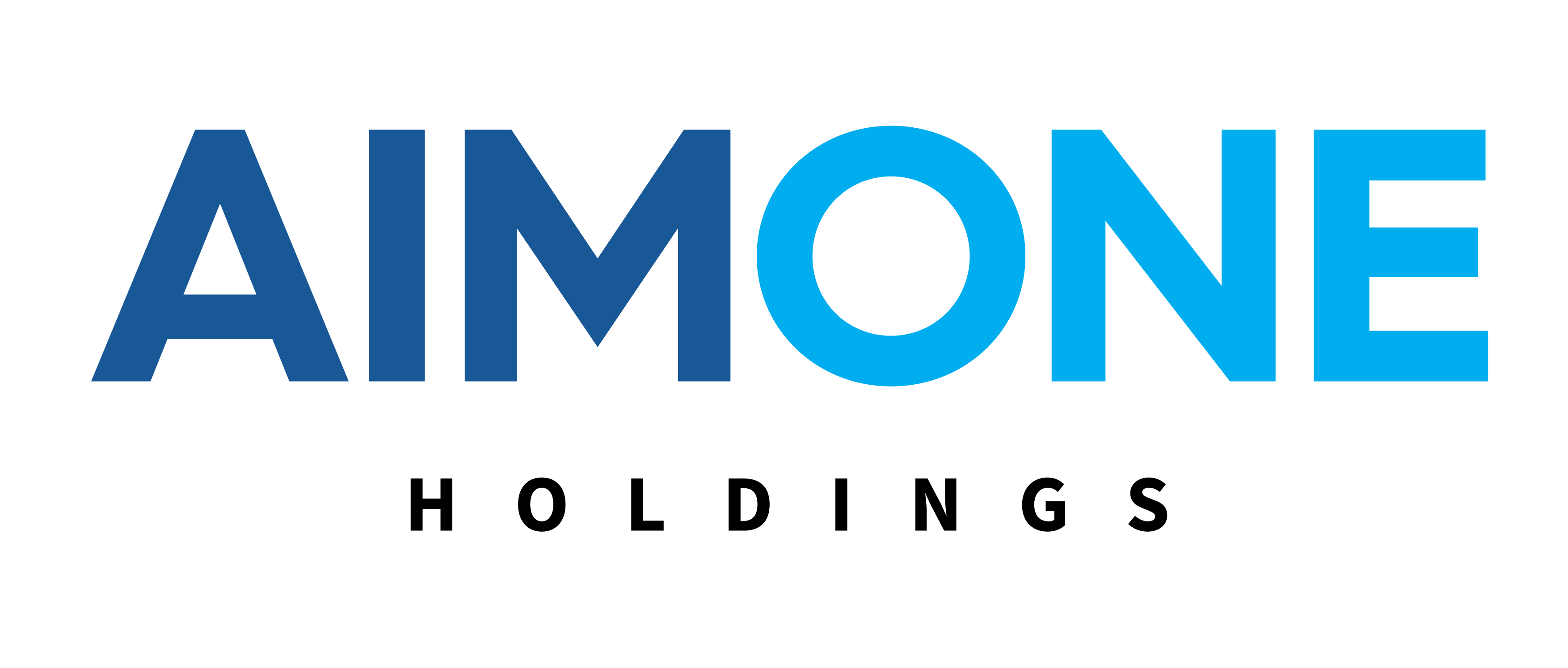 Aimone Holdings